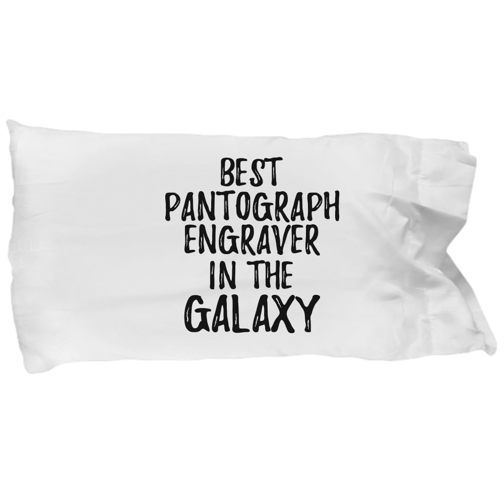 Best Pantograph Engraver in The Galaxy Pillowcase Funny Sci-fi Lover Gift Geek Coworker Present Pillow Cover Case 20x30