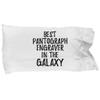 Best Pantograph Engraver in The Galaxy Pillowcase Funny Sci-fi Lover Gift Geek Coworker Present Pillow Cover Case 20x30 view 1