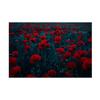 Trademark Fine Art Canvas Wall Art - Farid Kazamil 'Symphony Of Flowers' Wall Art for Living Room, Bedroom, or Office Dcor 24 x 16 Inches view 1