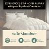 ComfyDown RoyalRest Comforter, 750+ Fill Power, Luxury European Goose Down, 100% Egyptian Cotton Cover with 400 Thread Count, All-Season, Machine Washable - Made in USA (Queen 86" x 82") view 4