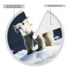 Polar Bear Print Christmas Tree Skirts with Tassel Soft Christmas Tree Mat Xmas Tree Skirt Ornaments Traditional Christmas Tree Carpet Soft for Holiday Party Xmas Decorations 36" view 2