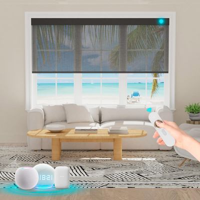 Blindify Motorized Solar Blinds with Remote Smart Light Filtering Shades Work with Homekit Alexa Auto Transparent Sight Sun Shades Waterproof 5% Openness Customize(60% Blackout Deep Grey)