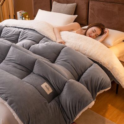 XHCTNN Quilt King Size Sherpa Full Size - Winter Warm Thickened Lambswool Comforter Core - Double Sided Fluffy Lamb Milk Fleece Quilt Blanket(D,220 * 240cm/5.0kg)