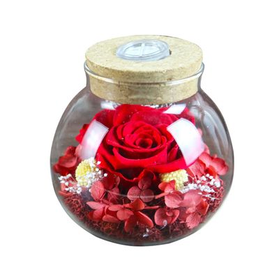 Amosfun Eternal Wishing Bottle Preserved Fresh Lamp Red for Christmas Decorations Present