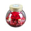 Amosfun Eternal Wishing Bottle Preserved Fresh Lamp Red for Christmas Decorations Present view 1