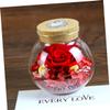 Amosfun Eternal Wishing Bottle Preserved Fresh Lamp Red for Christmas Decorations Present view 2