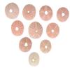 LIFKICH 10pcs Sea Urchin Shell Material Air Plant Holder Unique Decorative Wall Decor Random view 1