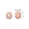LIFKICH 10pcs Sea Urchin Shell Material Air Plant Holder Unique Decorative Wall Decor Random view 2