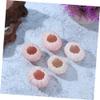 LIFKICH 10pcs Sea Urchin Shell Material Air Plant Holder Unique Decorative Wall Decor Random view 4