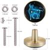 UNbit Kitchen Door Handles,Knob,Pull Handle,4 Pcs Door Knobs 32mm Round Constellation Furniture Knobs with Screw Brass Drawer Knobs Zodiac Sign Fluorescent Pull Handle Dresser Knobs Capricorn Handle view 2