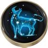UNbit Kitchen Door Handles,Knob,Pull Handle,4 Pcs Door Knobs 32mm Round Constellation Furniture Knobs with Screw Brass Drawer Knobs Zodiac Sign Fluorescent Pull Handle Dresser Knobs Capricorn Handle view 3