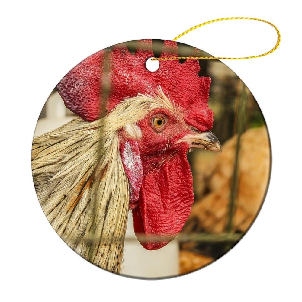3" Round Christmas Ornaments Cock Poultry Farm Animal Rooster Ceramic Holiday Keepsake Decor Christmas Tree Decoration Xmas New Year Festival Wedding Newlywed Gift Birthday Party Favor Bauble