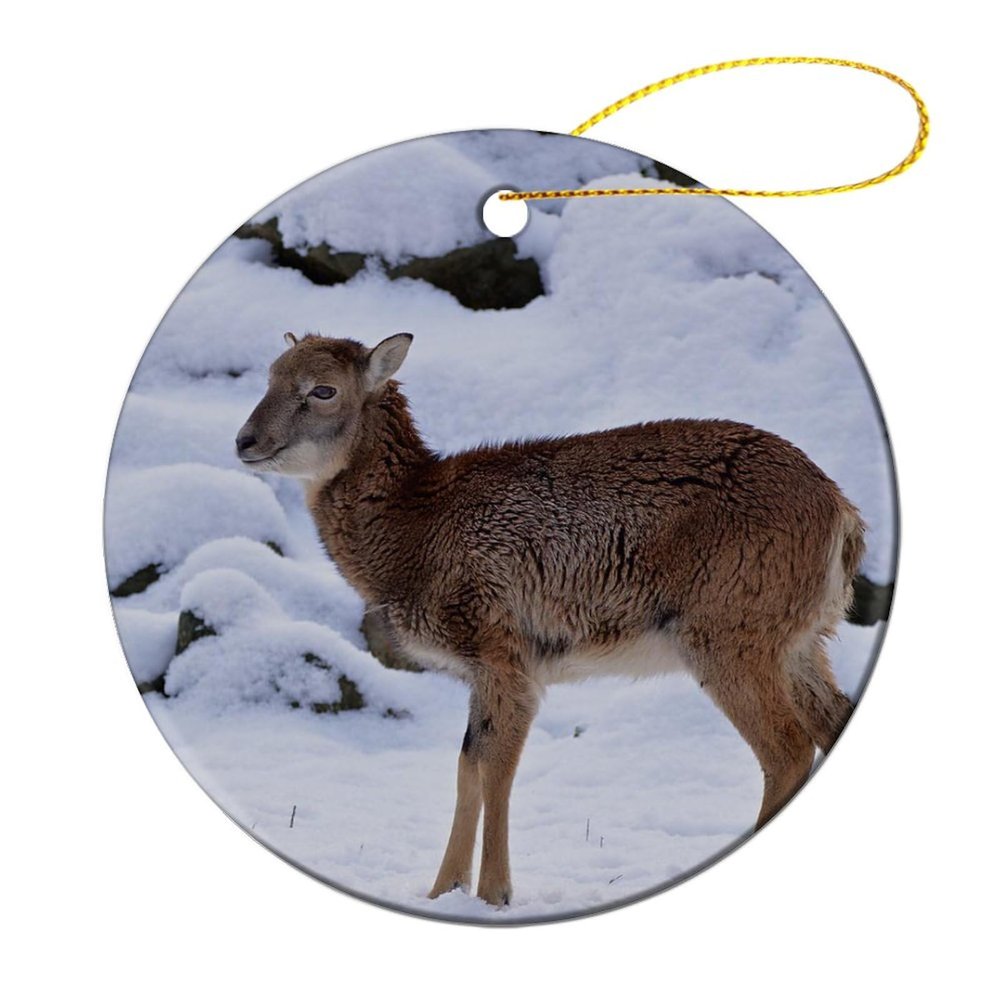 3" Round Christmas Ornaments Mouflon Young Snow Winter Ceramic Holiday Keepsake Decor Christmas Tree Decoration Xmas New Year Festival Wedding Newlywed Gift Birthday Party Favor Bauble