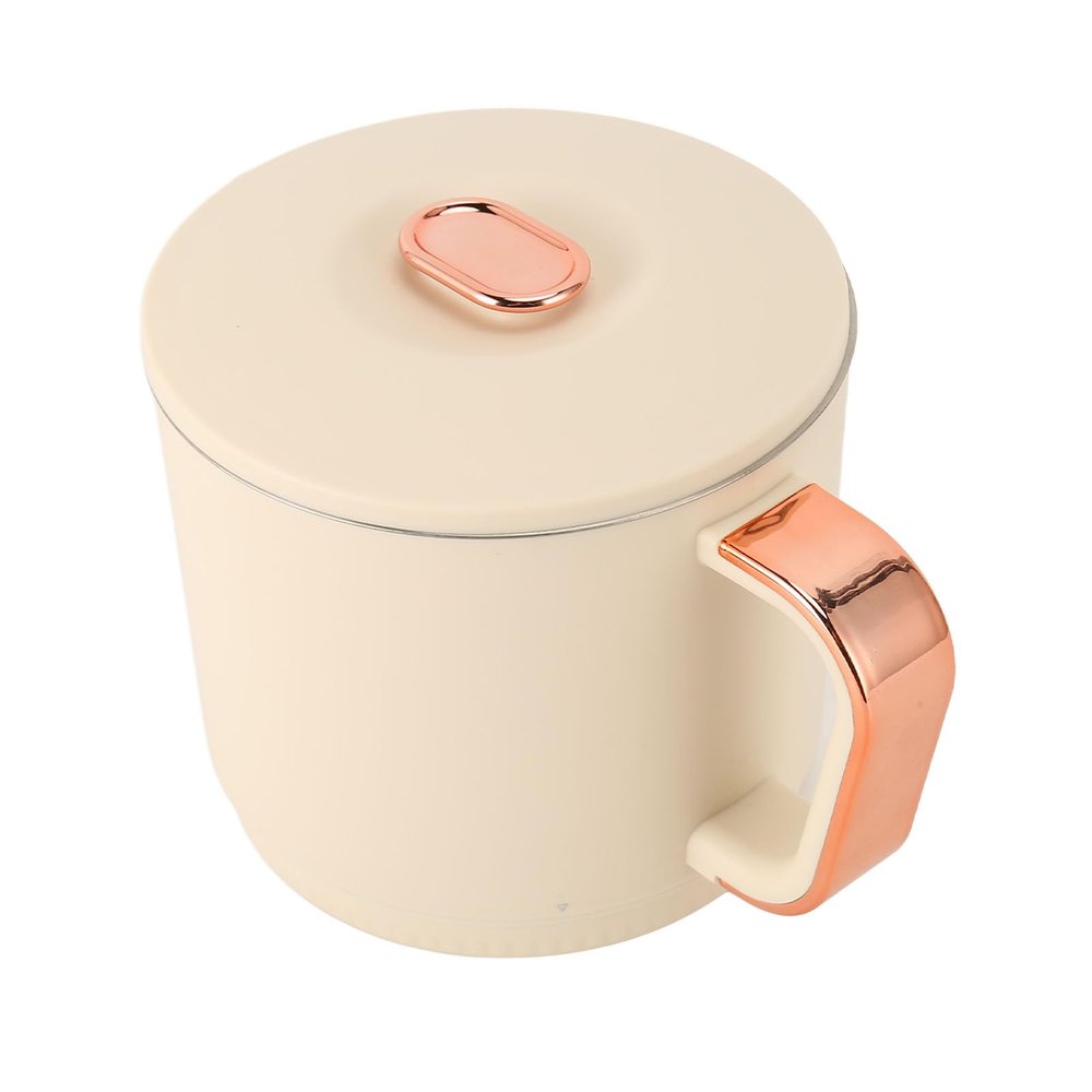 500W Portable Electric Kettle, Fast Boiling Smart Travel Small Kettle with Detachable Base, 0.8L Capacity, Stainless Steel (US Plug 110V)