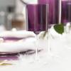 EcoQuality Purple Plastic Wine Glasses with Clear Stem - 9 oz Wine Glass, Disposable Shatterproof Wine Goblets, Reusable, Elegant Drink Cup Tumbler, Weddings, Party, Dinner, Baby Showers (20) view 3