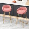 ANram Counter Height Bar Stools Set of 2 Velvet Upholstered Counter Stools Modern Island Chairs with Low Back for Kitchen Island view 2