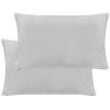 2 Pack Velvet Pillowcases King Size with Envelope Closure, Soft and Cozy Decorative Pillow Cases for Bedroom,Sofa,Couch,Solid Velvet Decorative Pillow Cover, 20 X 36 Inches,Grey view 1