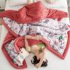 AOPPLSOT Heavy Winter Quilt, Warm Comforter for Winter, Thickened Bed Blanket, Double Fabrics, Luxury Soft Flannel and Lamb Velvet Fabric Quilts,I,150x200cm 2.4kg view 4