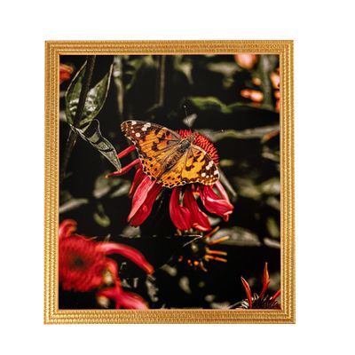 ArtToFrames 5x5 Inch Gold Picture Frame, This 0.75 Inch Custom Wood Poster Frame is Bright Gold - Comes with Foam Backing 3/16 inch and Regular Glass (FBPLD11109-5x5)