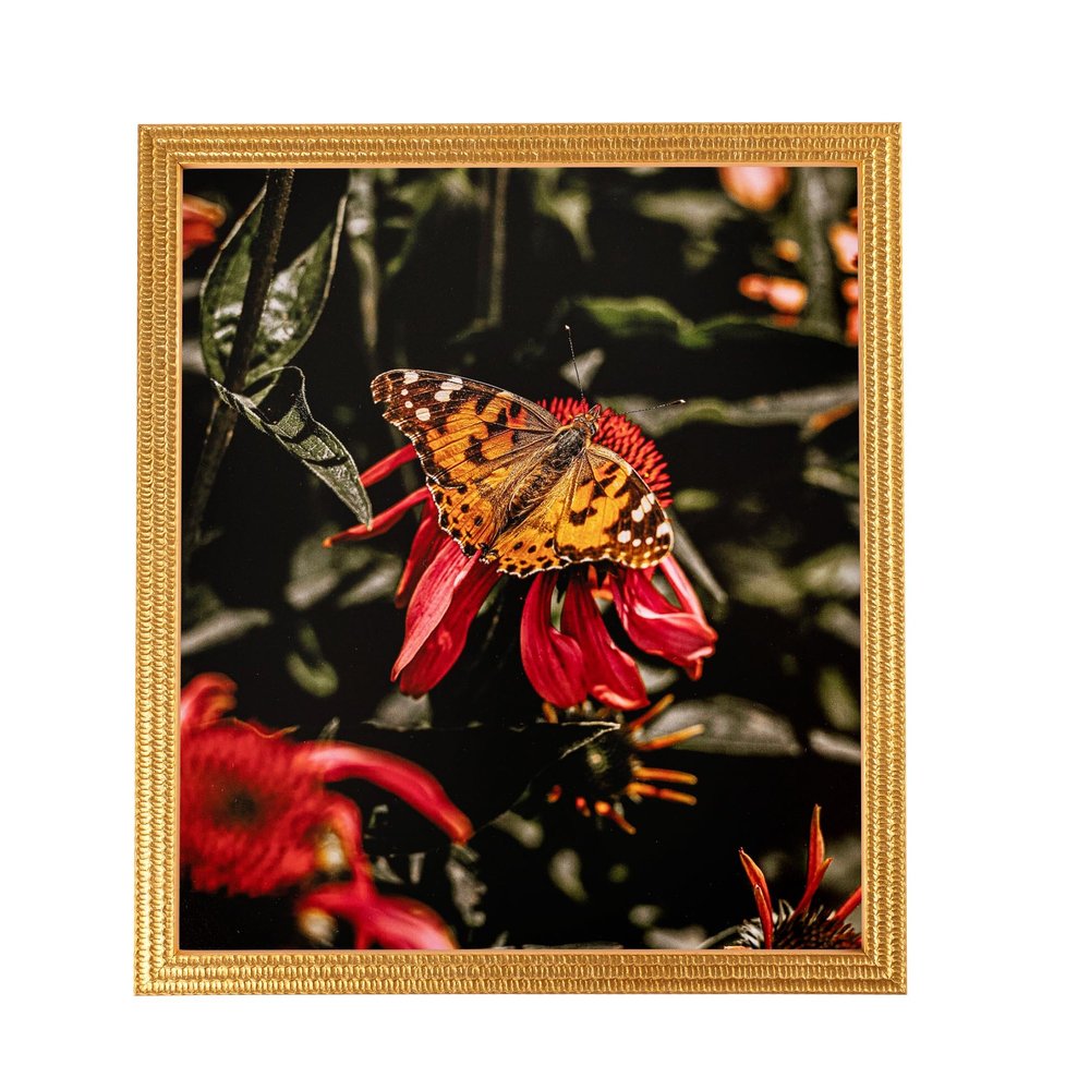 ArtToFrames 5x5 Inch Gold Picture Frame, This 0.75 Inch Custom Wood Poster Frame is Bright Gold - Comes with Foam Backing 3/16 inch and Regular Glass (FBPLD11109-5x5)