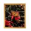 ArtToFrames 5x5 Inch Gold Picture Frame, This 0.75 Inch Custom Wood Poster Frame is Bright Gold - Comes with Foam Backing 3/16 inch and Regular Glass (FBPLD11109-5x5) view 1