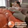 XHCTNN Quilt King Size Sherpa Full Size - Warm Thickened Lambswool Comforter Core - Winter Double Sided Fluffy Lamb Fleece Quilt Blanket(B,200 * 230cm/4.5kg) view 2