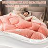 XHCTNN Warm Thickened Lambswool Comforter Core, Soft Warmth Quilt Blanket Sherpa Winter King Full Size Fluffy Double Sided Lamb Fleece Comforter Core(C,200 * 230cm/4.0kg) view 4