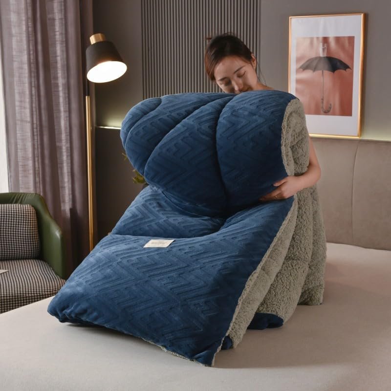XHCTNN Quilt King Size Sherpa Full Size - Warm Thickened Lambswool Comforter Core - Winter Double Sided Fluffy Lamb Fleece Quilt Blanket(H,180 * 220cm/3.5kg)