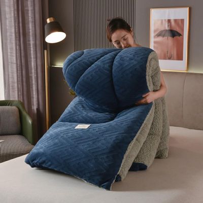 XHCTNN Quilt King Size Sherpa Full Size - Warm Thickened Lambswool Comforter Core - Winter Double Sided Fluffy Lamb Fleece Quilt Blanket(H,150 * 200cm/3.0kg)
