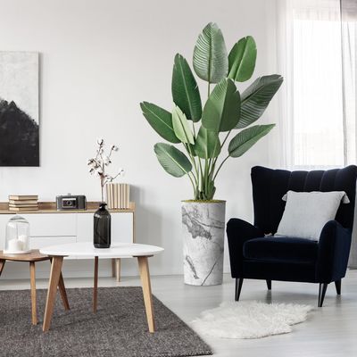 Artificial Tree in Gray Marble Effect Planter, Fake Bird of Paradise Silk Trees for Indoor and Outdoor Home Decoration - 67" Overall Tall (Plant Pot Plus Tree)