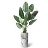 Artificial Tree in Gray Marble Effect Planter, Fake Bird of Paradise Silk Trees for Indoor and Outdoor Home Decoration - 67" Overall Tall (Plant Pot Plus Tree) view 2