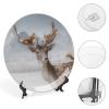 Animal Deer Reindeer Wild Decorative Plate for Kitchen Accent Ceramic Wall Hanging Souvenir with Display Stand Home Decor Collectible Plate for Wedding Holiday Party Supplies 7" view 4