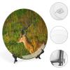 Africa Dear Wildlife Animal Decorative Plate for Kitchen Accent Ceramic Wall Hanging Souvenir with Display Stand Home Decor Collectible Plate for Wedding Holiday Party Supplies 8" view 4