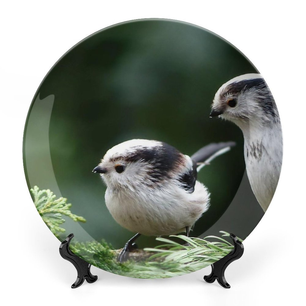 Animal Bird Tit Long Tailed Tit Decorative Plate for Kitchen Accent Ceramic Wall Hanging Souvenir with Display Stand Home Decor Collectible Plate for Wedding Holiday Party Supplies 7"