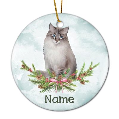 DOREENABE Personalized Pet Ornament Ragdoll Cat Colorpiont Lover Custom Ornament with Name Pet Memorial Gift for Pet Owner Christmas Tree Decorations Holiday Xmas Party Decor 3" Ceramic Keepsake