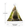 MIXMEY Lion Print Santa Claus Hat Cute Plush Christmas Hat Led Light Xmas Hats view 4
