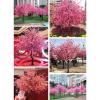 NOBIFT Artificial Cherry Blossom Tree Simulation Plant Handmade Silk Flower - Perfect Office Bedroom Living Party DIY Wedding Decor - Stunning Wishing Tree! view 2