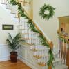 2PCS Christmas Norfolk Pine Wreath 20 inch and 6ft Norfolk Pine Garland,Artificial Faux Greenery Garland Wreath for Front Door Holiday Thanksgiving Fall Winter Decor view 3