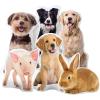 CADE Personalized Pet Pillow Custom Stuffed Animals of Your Pet Custom Shaped Pillow with Picture 3D Double-Sided Print Memorial Personalized Gift for Adults Kids - 24inch view 1