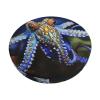 LZQPOEAS Blue Ringed Octopus Print Stool Covers Round Bar Stool Seat Covers Soft Velvet Stool Slipcover with Elastic Washable Stool Cushion Cover Removable Chair Cover for Bar Round Stools view 1