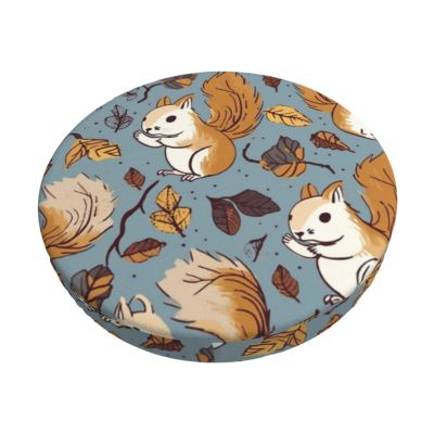LZQPOEAS Cute Squirrel Print Stool Covers Round Bar Stool Seat Covers Soft Velvet Stool Slipcover with Elastic Washable Stool Cushion Cover Removable Chair Cover for Bar Round Stools