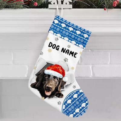 NAZENTI Custom Flat Coated Retriever Dog Stocking, Dog Christmas Stocking, Christmas Stocking for Dog, Puppy Stocking for Dog Lovers, Family, Home Decor, Christmas