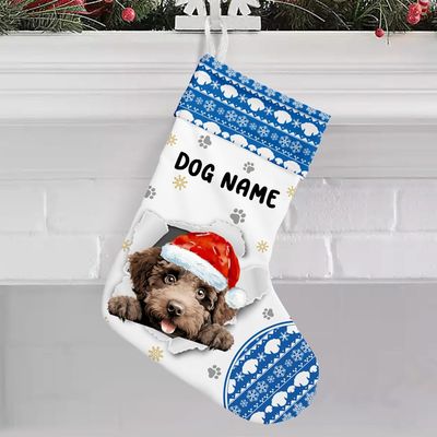 NAZENTI Custom Spanish Water Dog Stocking, Dog Christmas Stocking, Christmas Stocking for Dog, Puppy Stocking for Dog Lovers, Family, Home Decor, Christmas