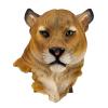 BSapp Head Wall Decor, Emulation Taxidermy Leopard Head Animals Sculpture For Living Room Study Bedroom And Farmhouse Decor view 1