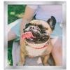 CountryArtHouse 28x35 Frame Silver Stainless Steel Solid Wood Picture Frame | 0.75 Inch Moulding Width | Includes UV Acrylic Plexiglass, Acid Free Foam Board Backing and Hanging Hardware view 4