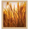 CountryArtHouse 29x16 Frame Natural Wood Picture Frame | 0.75 Inch Moulding Width | with UV Acrylic Plexiglass, Foam Board Backing & Hanging Hardware Included view 4