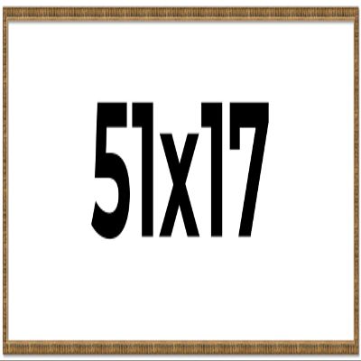 CountryArtHouse 51x17 Frame Gold Solid Wood Picture Frame - Complete Modern Photo Frame Includes UV Acrylic Plexiglass, Acid Free Foam Backing Board and Hanging Hardware