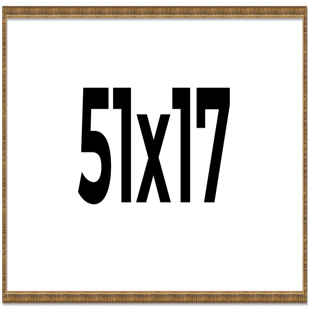 CountryArtHouse 51x17 Frame Gold Solid Wood Picture Frame - Complete Modern Photo Frame Includes UV Acrylic Plexiglass, Acid Free Foam Backing Board and Hanging Hardware