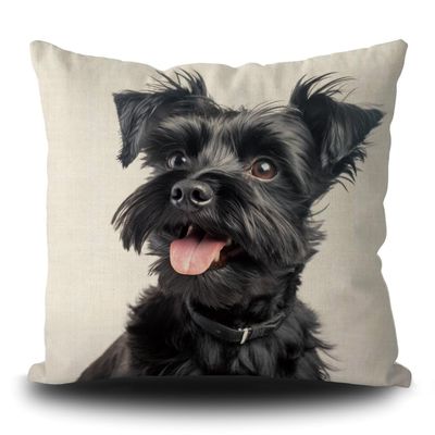 Funny Affenpinscher Dog Pillow Cover Dog Puppy Art Decorative Pillow Case for Couch Sofa Bed Dog Lover Gift Linen White 20X20 Inch Double Side, Style 1