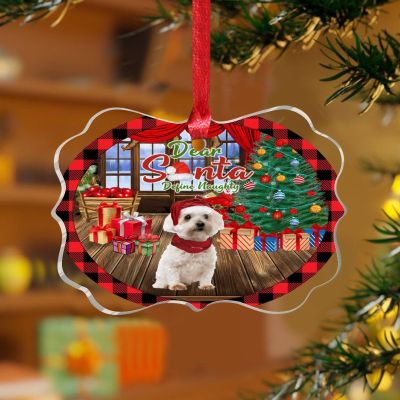 3" Clear Acrylic Christmas Ornaments 2023 Dear Santa Define Naughty Personalized Ornament Keepsake Bauble Xmas Party Decorations Colorful Dog Illustration Keepsake Transparent Disc Stocking Name Tag